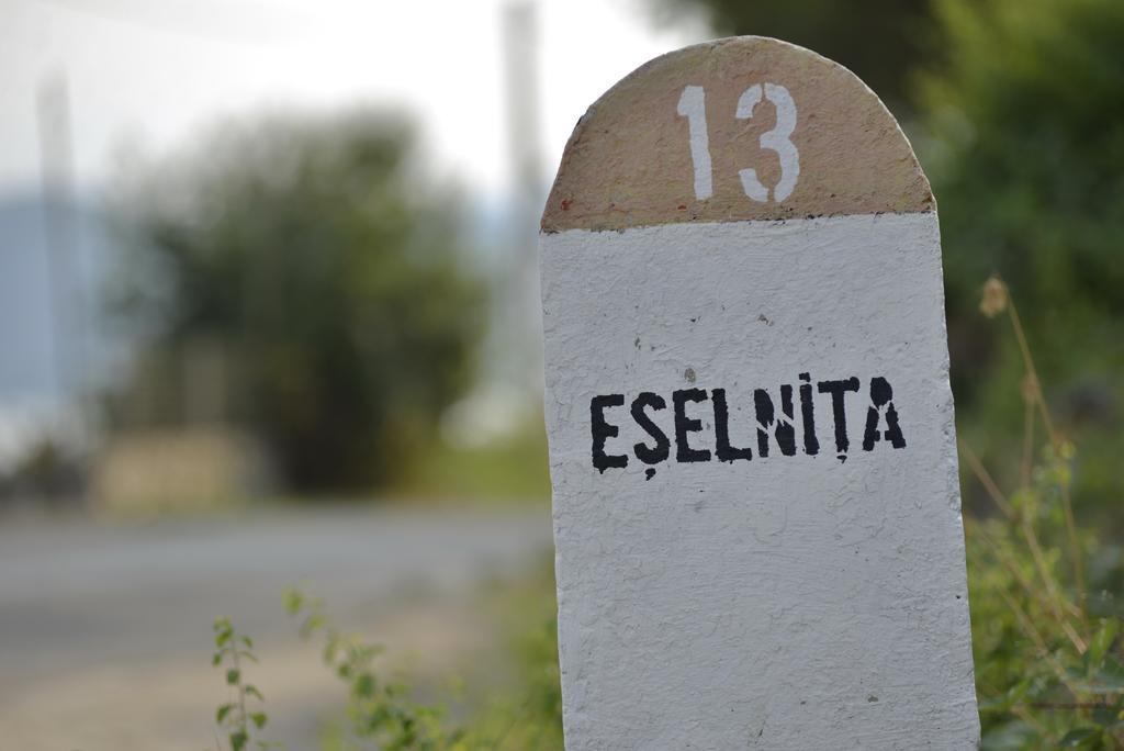 Casa Marina 호텔 Ieşelniţa 외부 사진